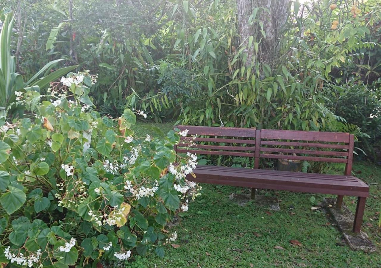 Résidence Bougainvillee *
