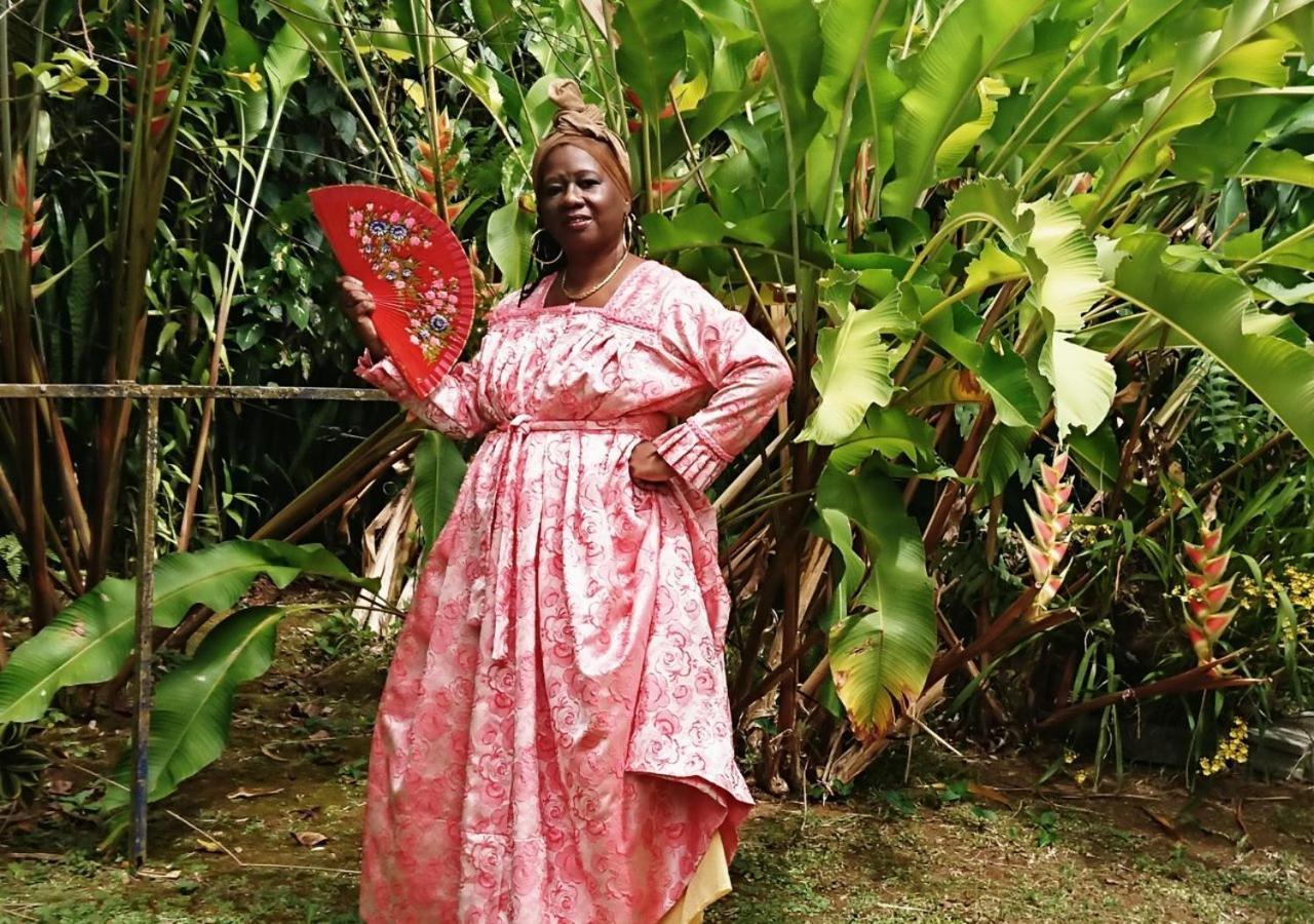 Résidence Bougainvillee Hébergement de vacances *