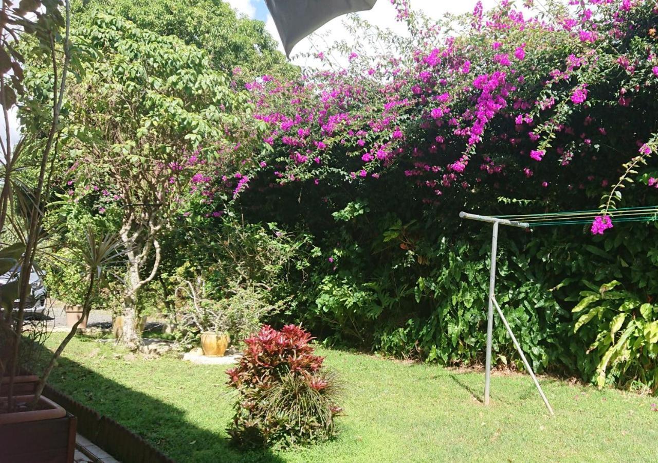 Résidence Bougainvillee Hébergement de vacances