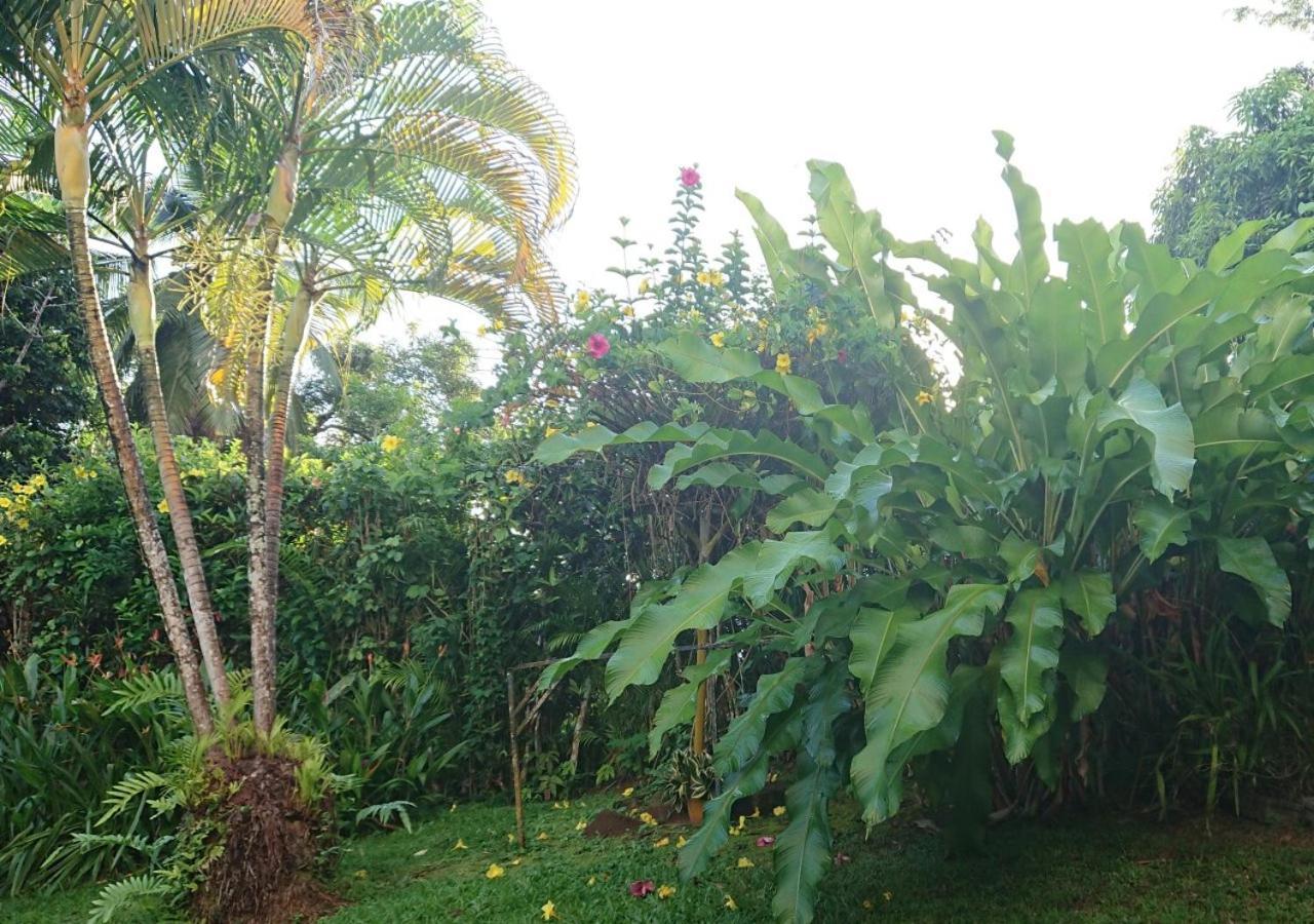 Hébergement de vacances Résidence Bougainvillee